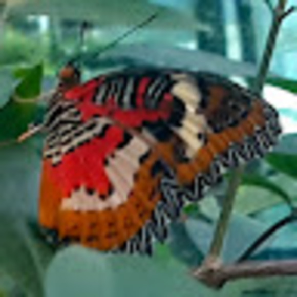 Meet your Posher, Kupu - Picture 1 of 1